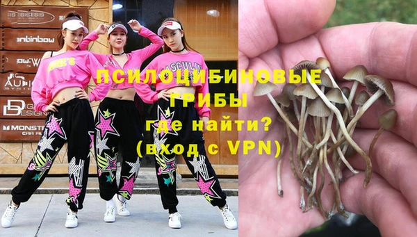тгк Баксан