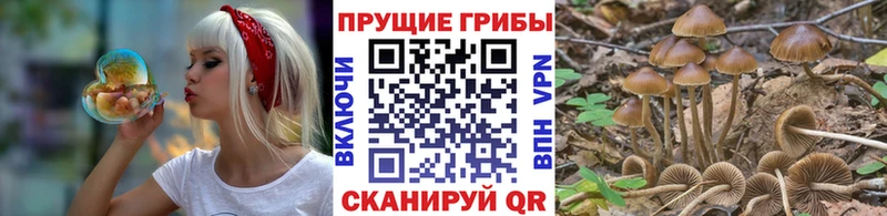 ссылка на мегу зеркало  Кукмор  Псилоцибиновые грибы Cubensis 